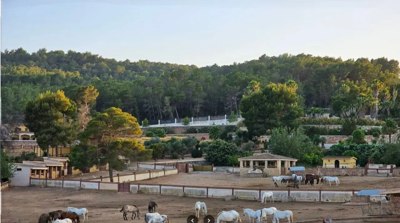 80,000 m² farm for sale in Ibiza - View 9