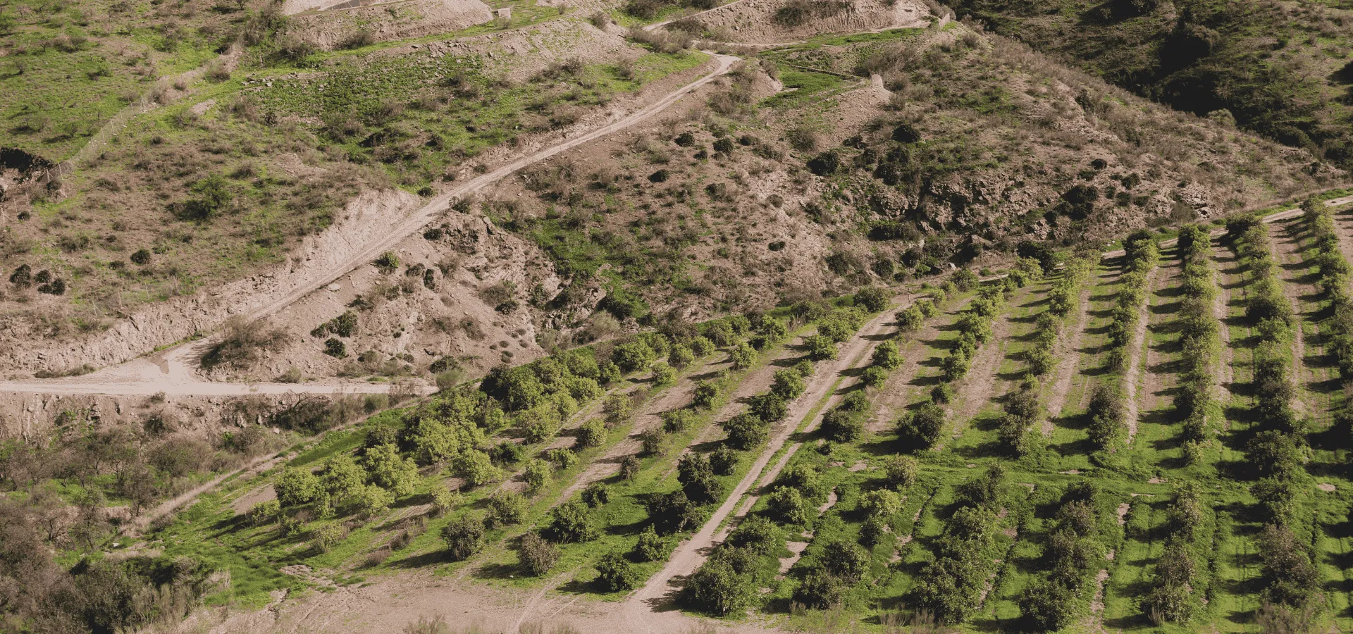 49-Hectare Agricultural Paradise: Avocado, Corn, and Mountain Farm - View 6
