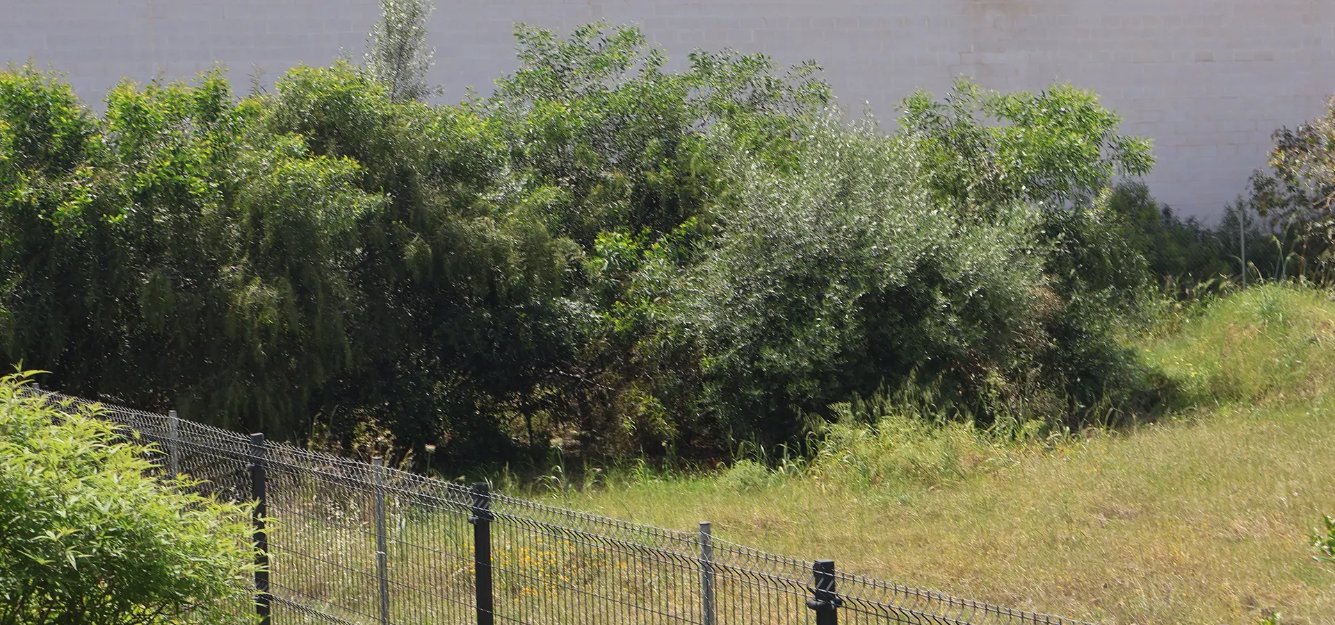 1,500 m² commercial property for sale in Málaga - View 8