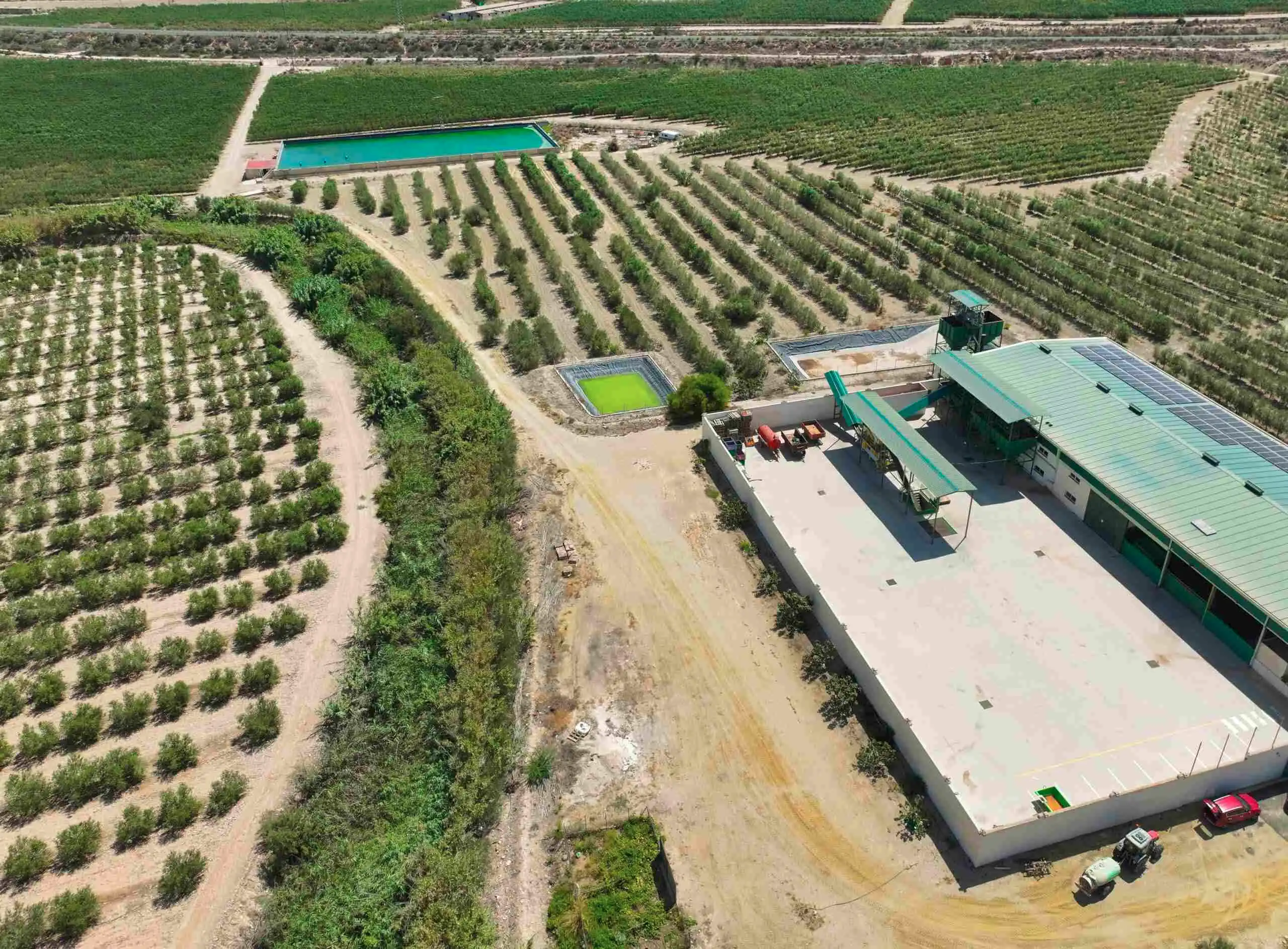 25 hectares olive oil farm for sale in Andalusia - View 6
