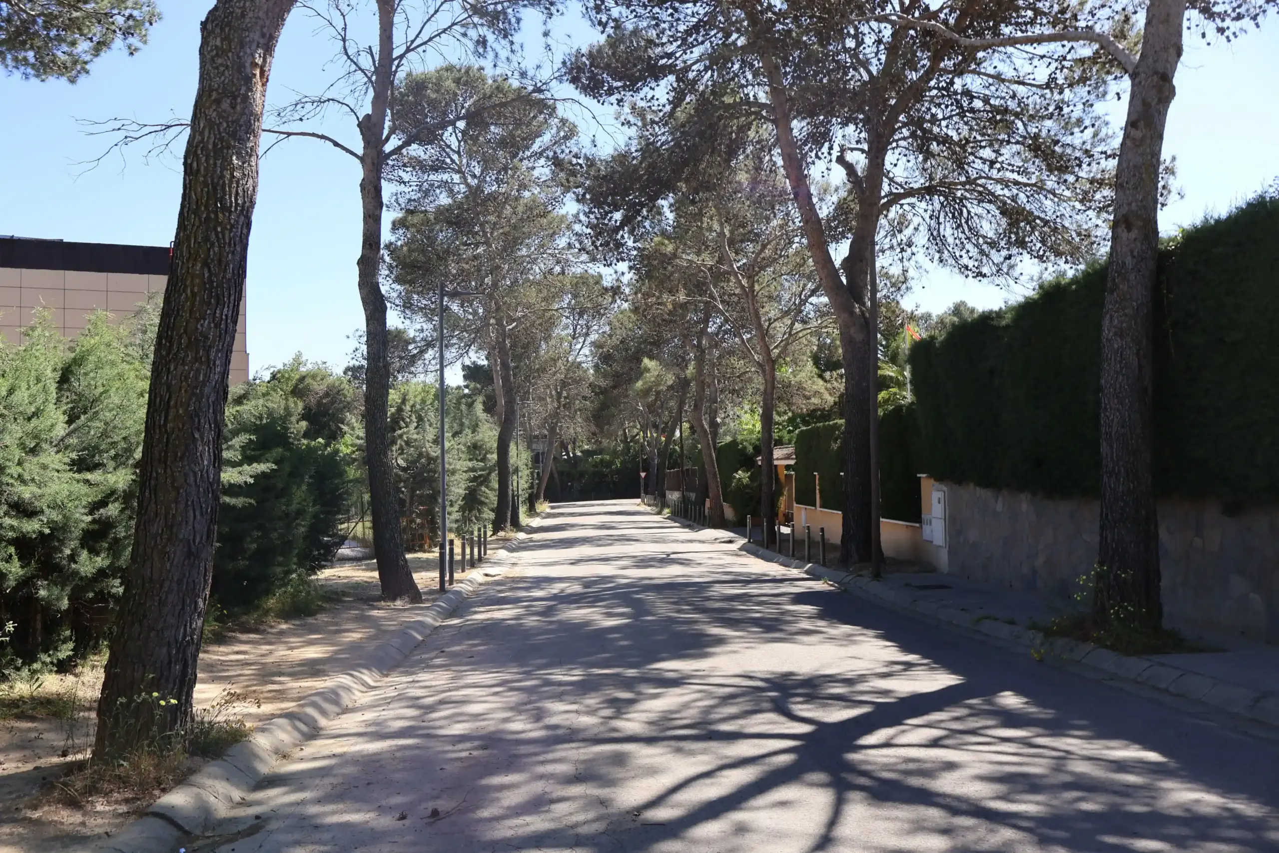 4,455 m² plot for sale in Madrid - View 6