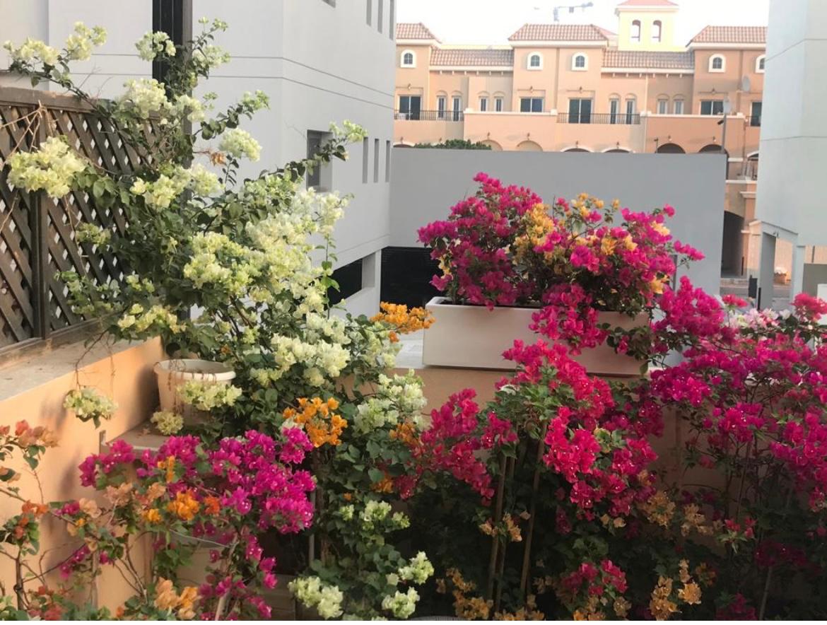 Furnished | G+2 with Garden | Well Maintained - View 13