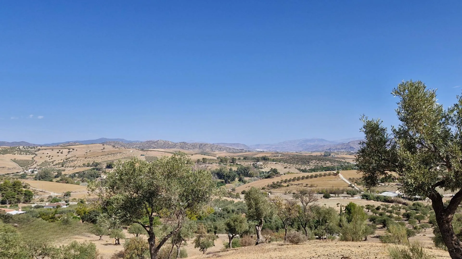 730,580.30 m² land plot for sale in Málaga - View 6