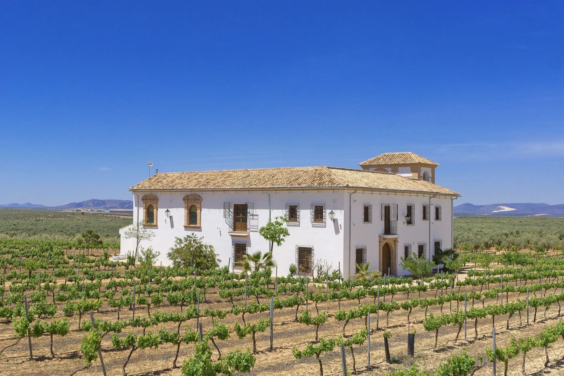 41,000 m² farm for sale in Antequera - View 11