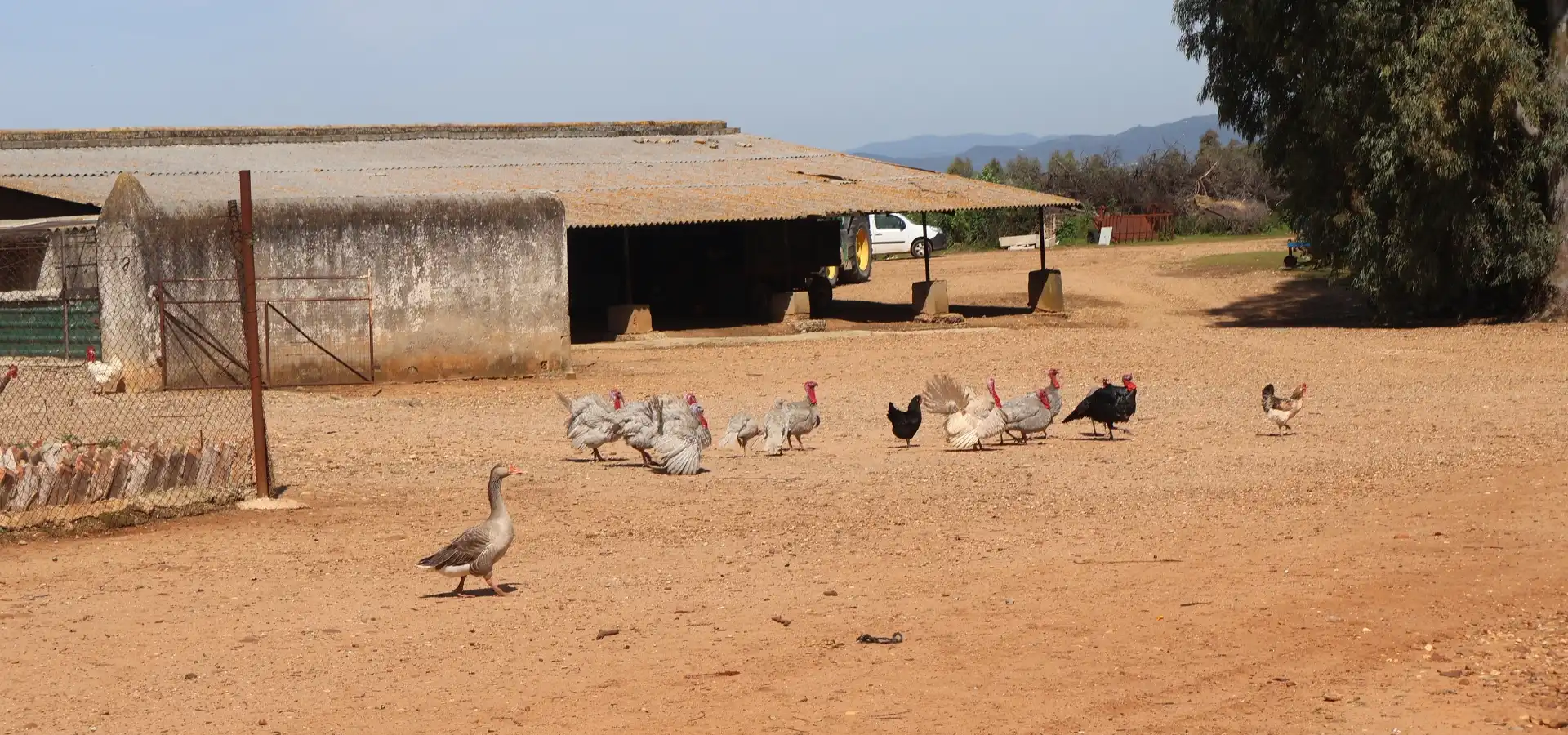 1,030 hectare farm for sale in Spain - View 9