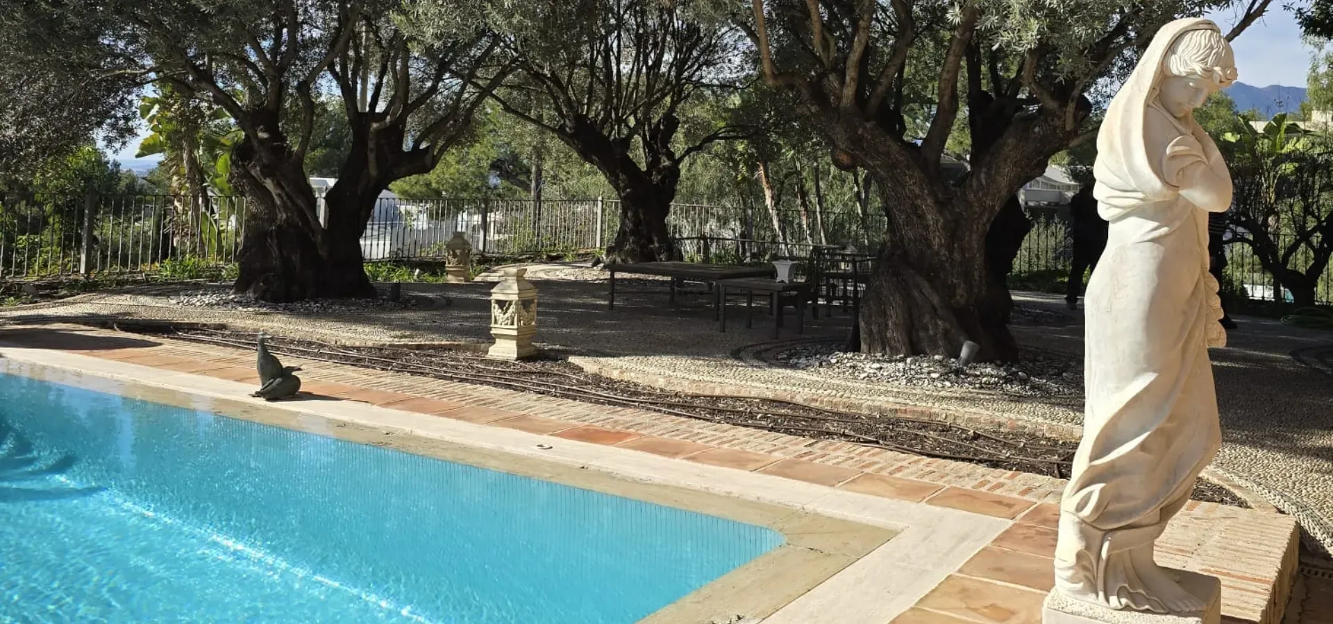 4,254 m² villa for sale Marbella - View 6