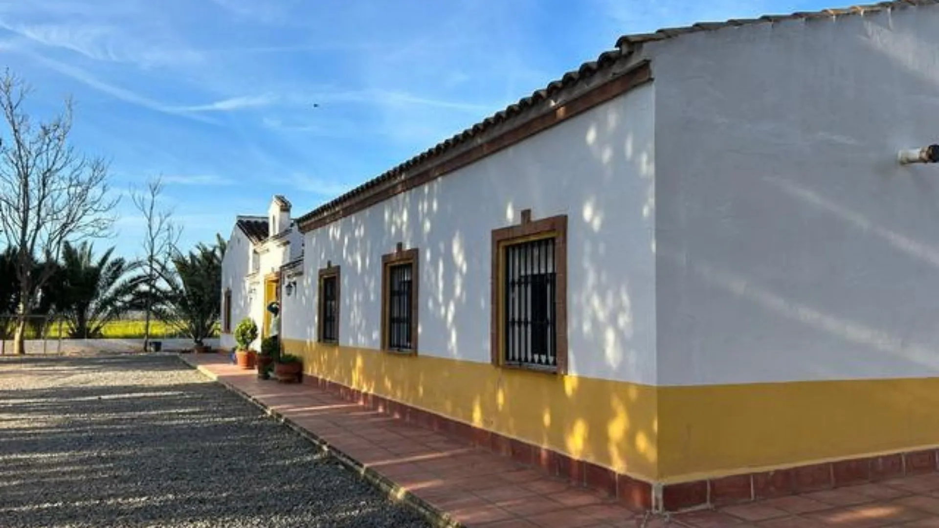 122,456 m² olive farm for sale in Antequera - View 7