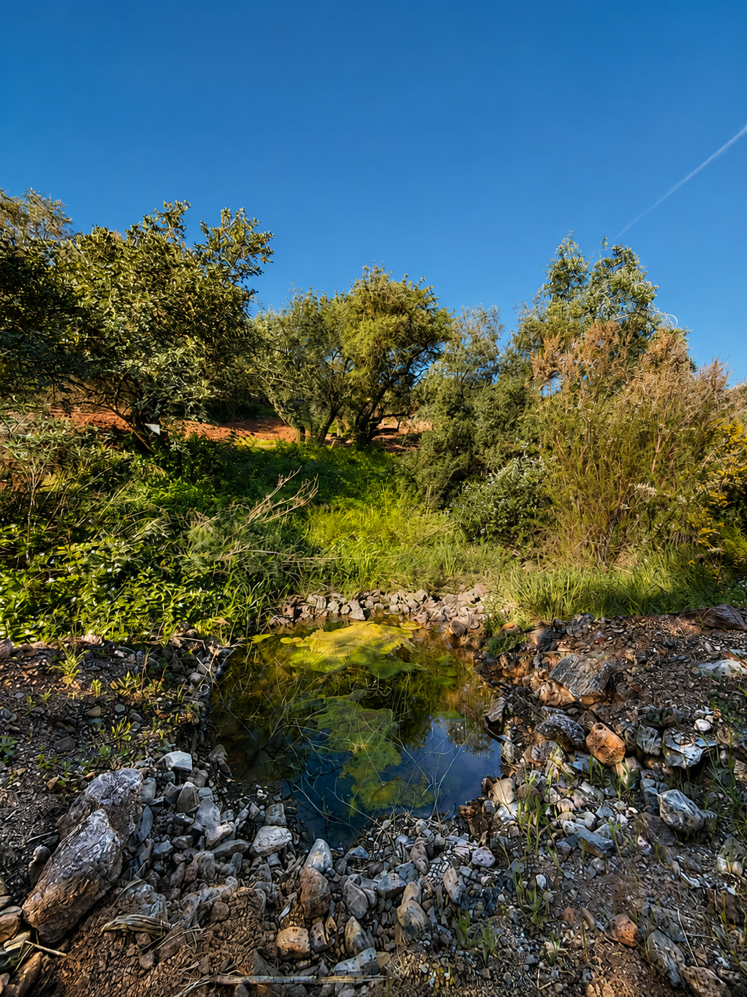 León 3 Contemporary Country Estate for Sale in Puerto de la Torre - View 8