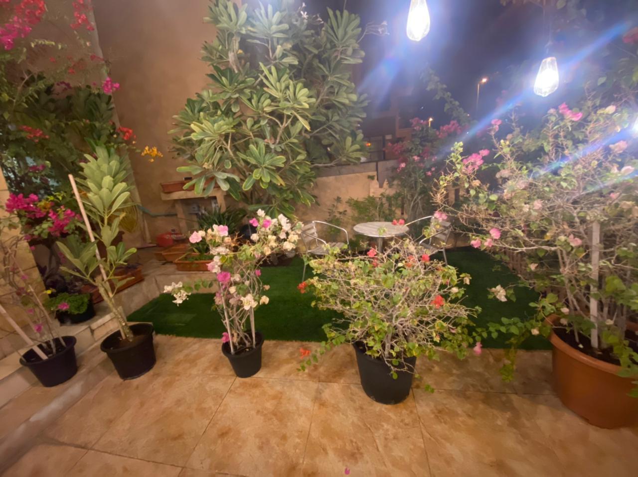 Furnished | G+2 with Garden | Well Maintained - View 16