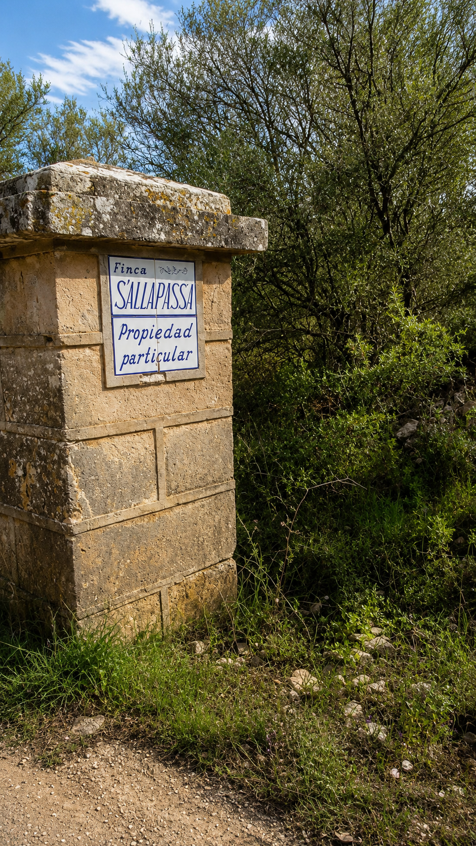 Large rural estate  in Llucmajor, Mallorca - View 17