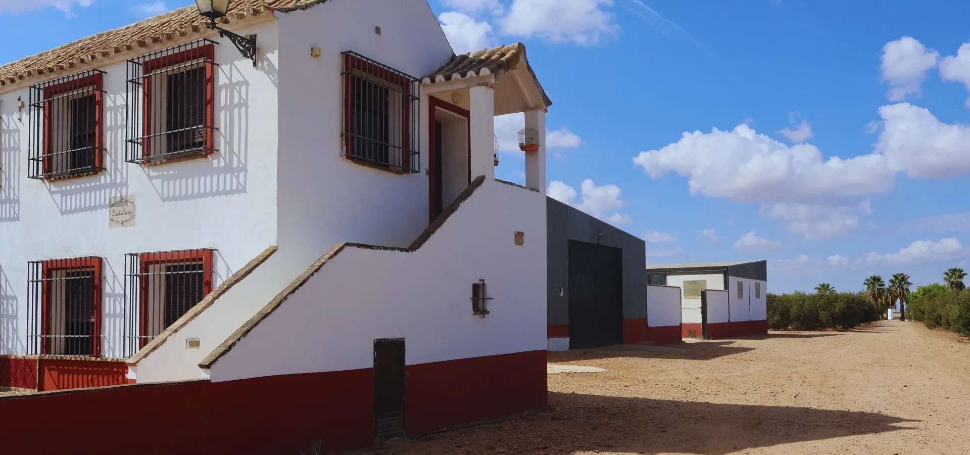 706.38-hectare olive farm for sale in Seville - View 6