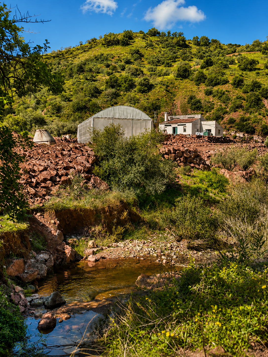 Exclusive Sustainable Luxury Eco Villa with 50,000 m² Estate - View 8