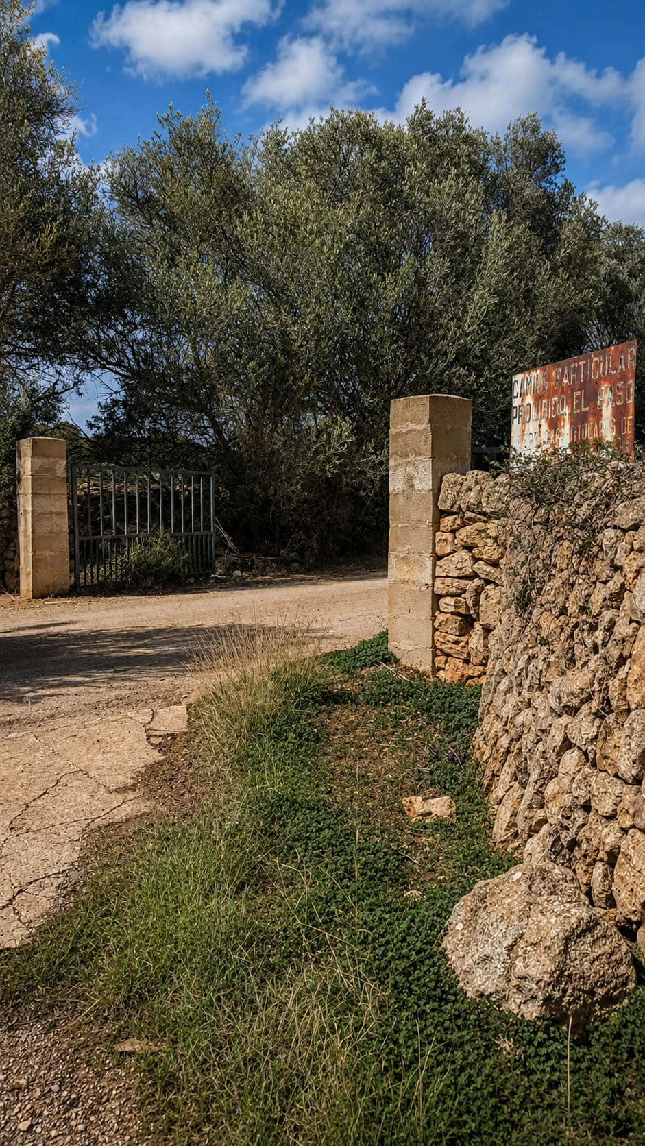 Large rural estate  in Llucmajor, Mallorca - View 6