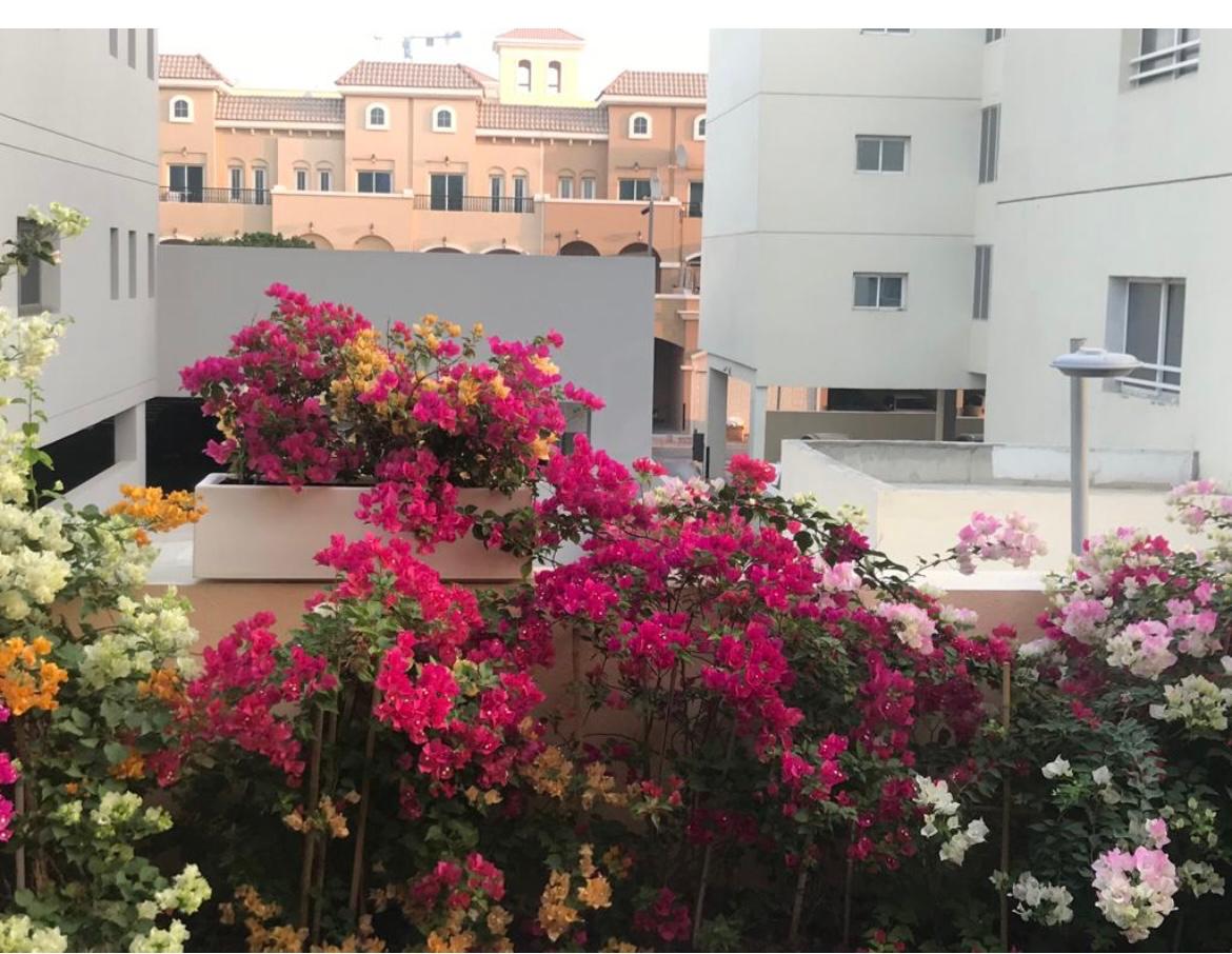 Furnished | G+2 with Garden | Well Maintained - View 12
