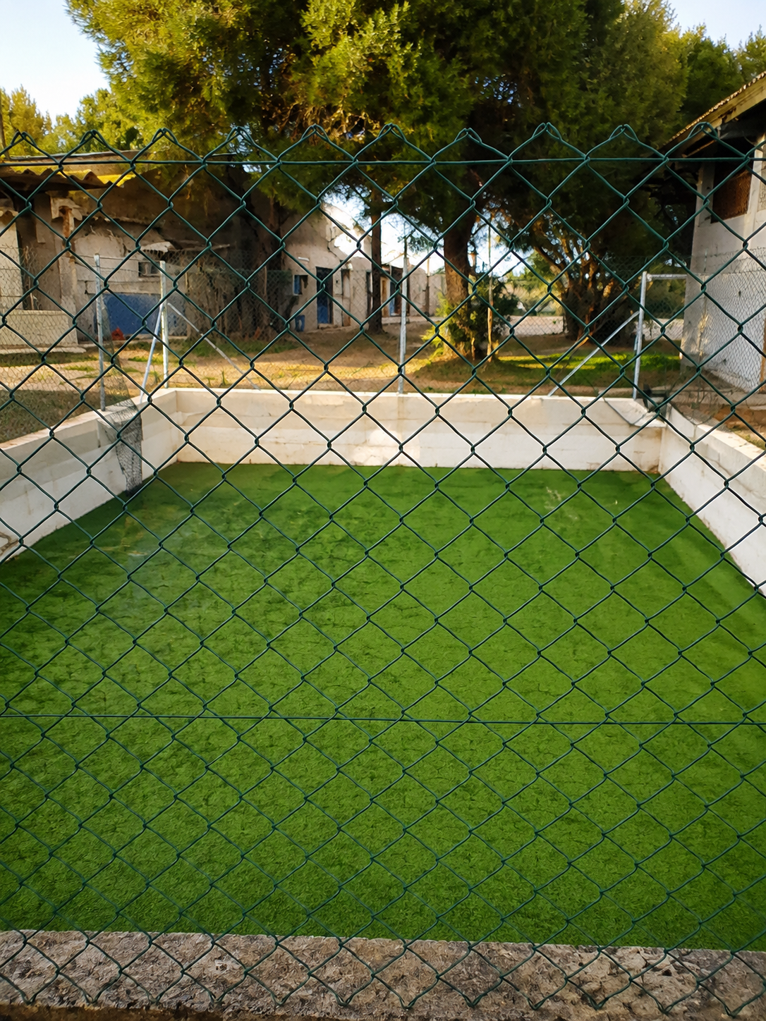 Large rural estate  in Llucmajor, Mallorca - View 14