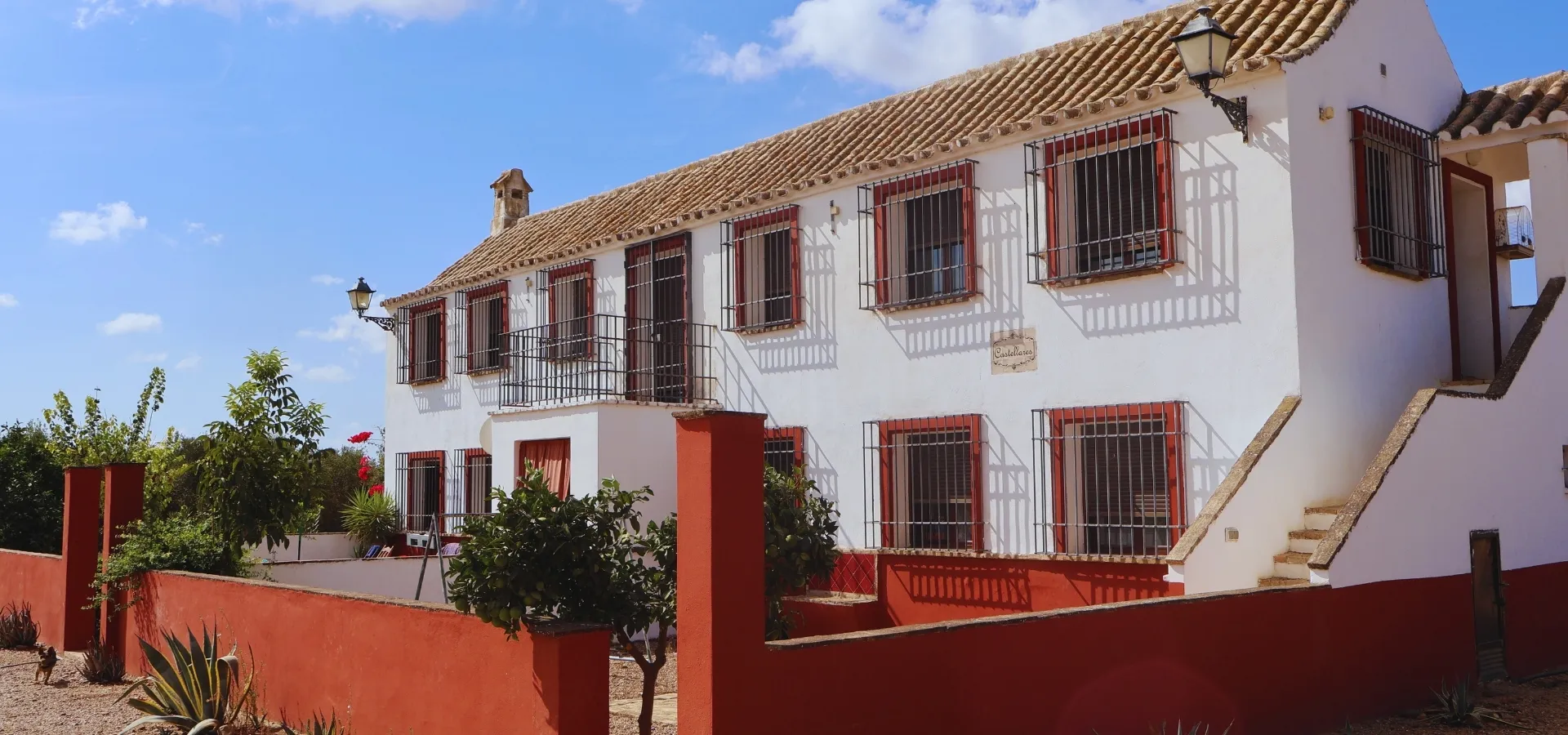 706.38-hectare olive farm for sale in Seville - View 7