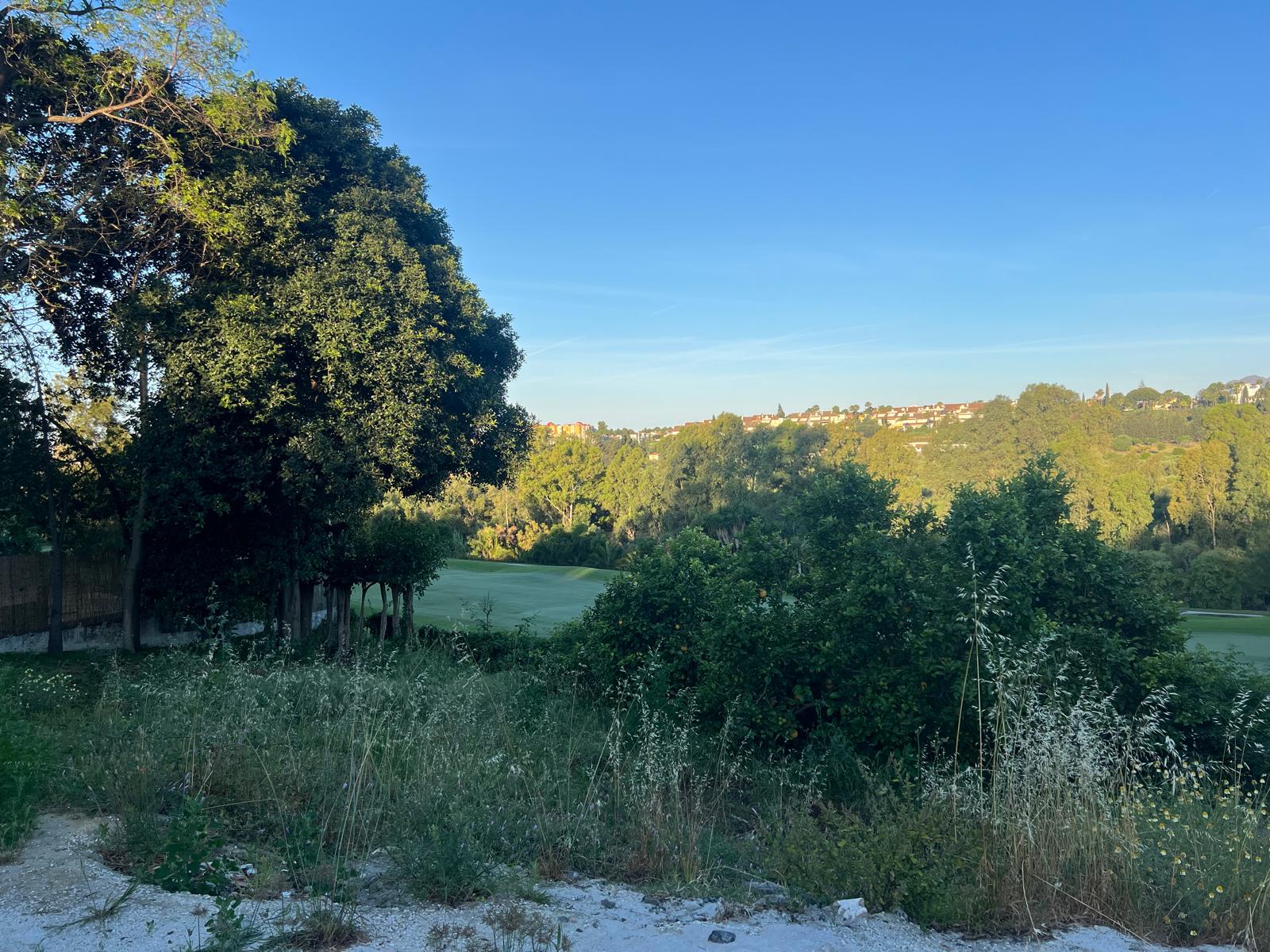 Guadalmina 23 – Frontline Golf Plot - View 11