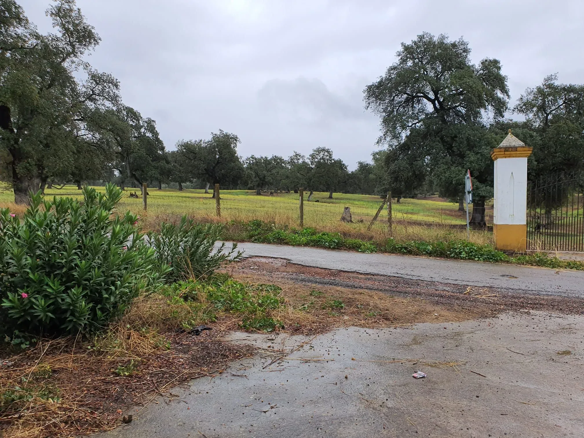 3000 hectares for sale in Andalusia - View 8