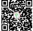 DLD Trakheesi QR code