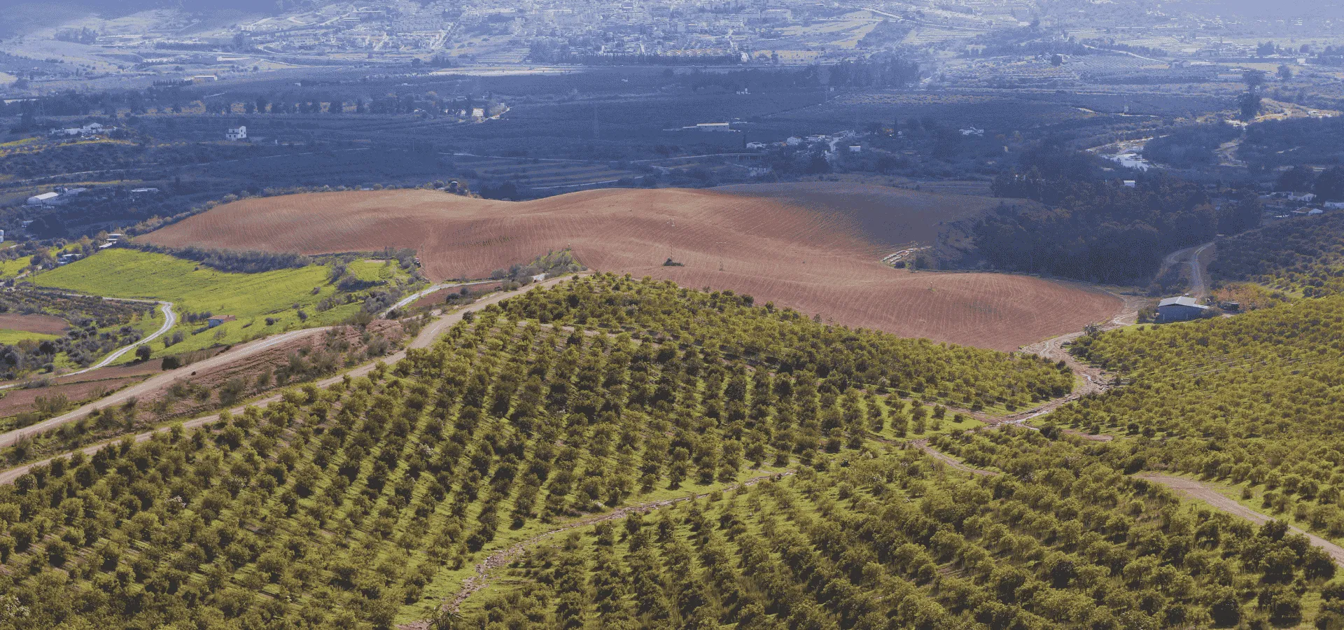 49-Hectare Agricultural Paradise: Avocado, Corn, and Mountain Farm - View 11