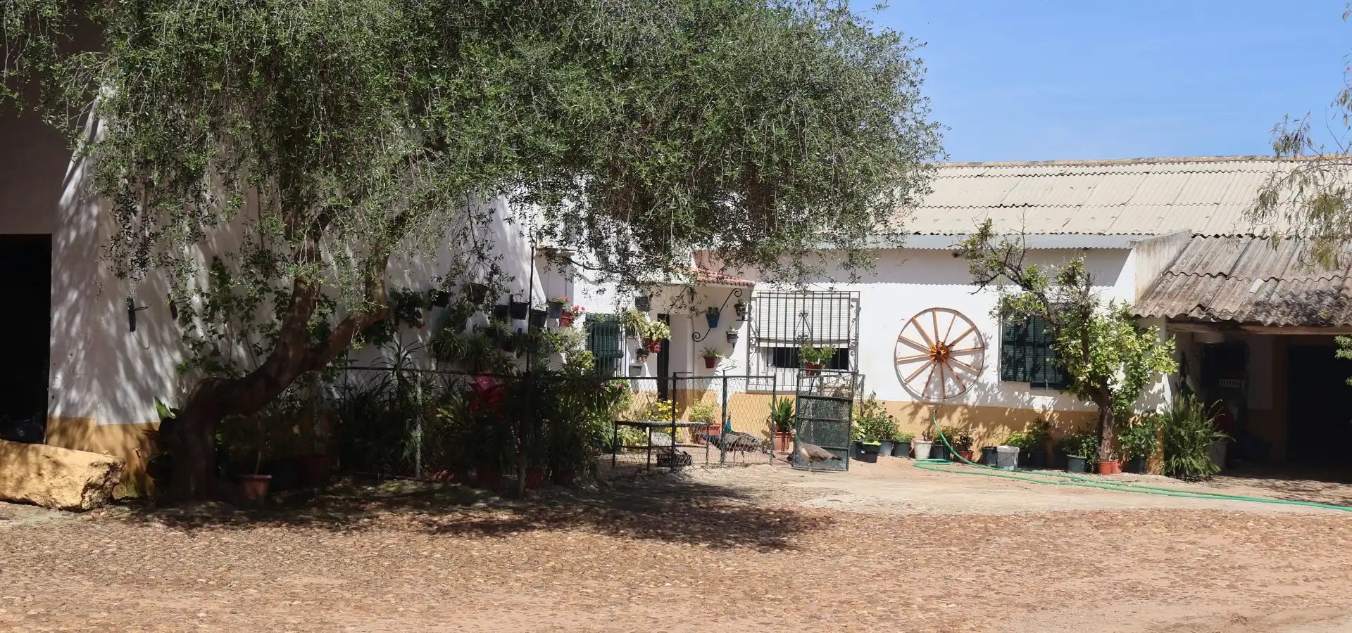 1,030 hectare farm for sale in Spain - View 6