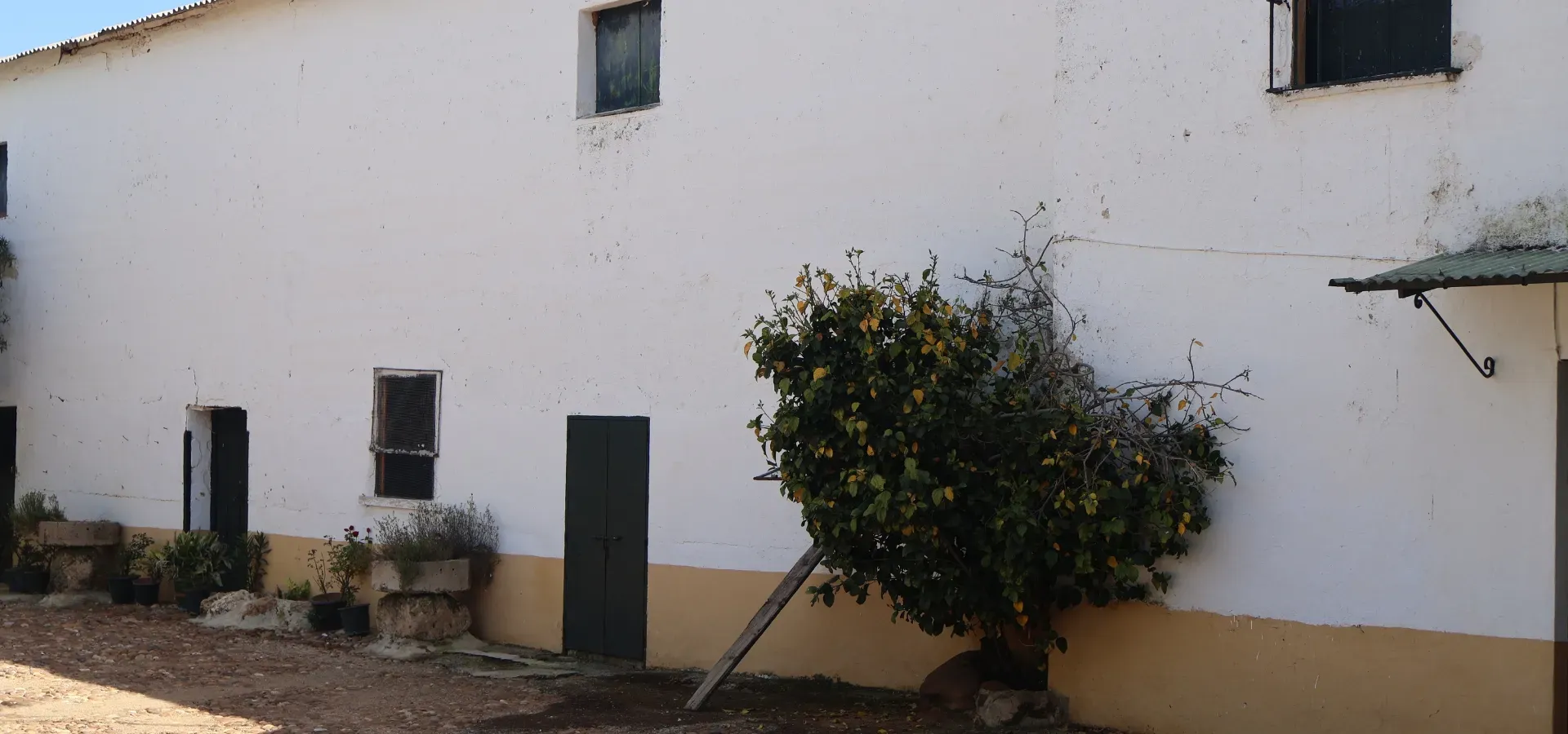 1,030 hectare farm for sale in Spain - View 7